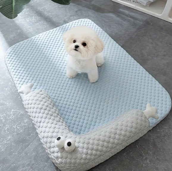 caniche blanc assis sur Tapis rafraichissant chien