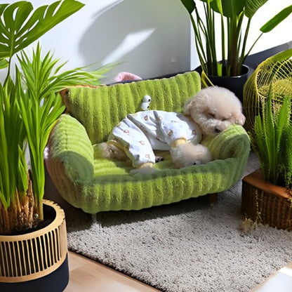 caniche blanc avec pyjama dort sur Canapé pour chien vert