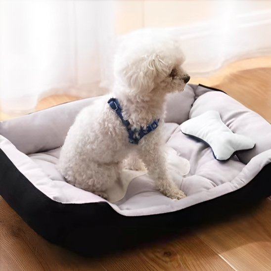 caniche blanc couche dans panier à chien