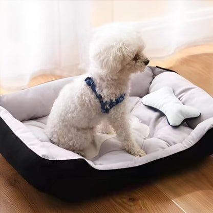 caniche blanc couche dans panier à chien