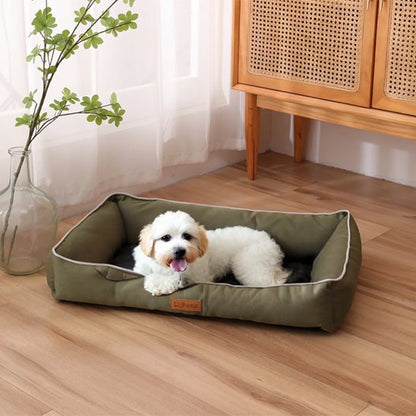 caniche blanc couche dans Panier pour chien vert