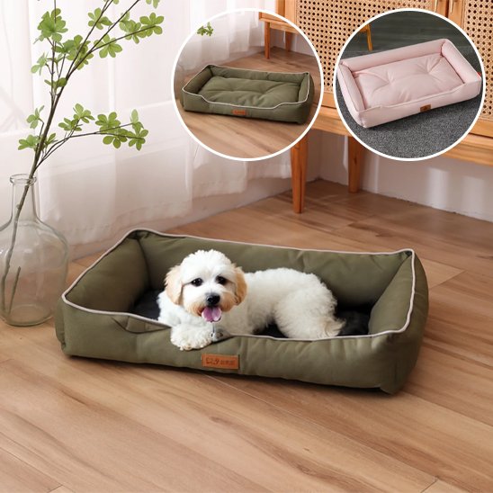 caniche blanc couche dans Panier pour chien vert