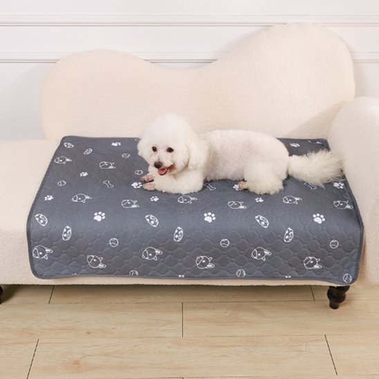 caniche blanc couche sur Tapis pour chien sur canape