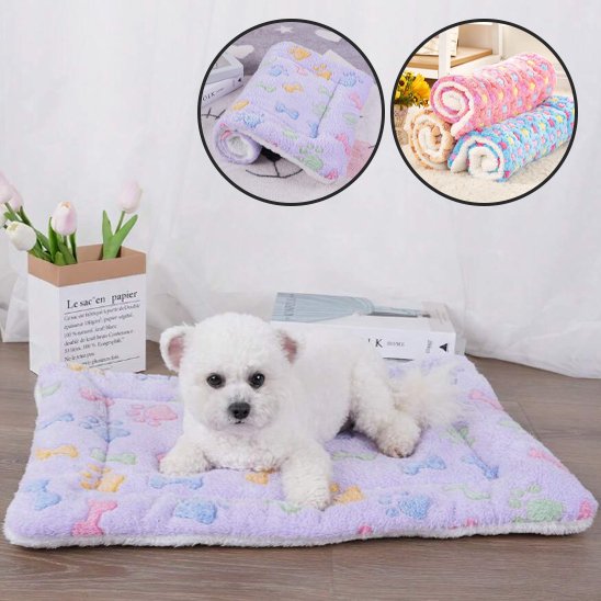 caniche blanc couche sur Tapis pour chien