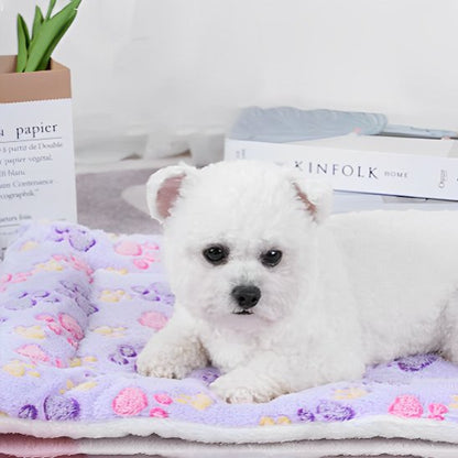 caniche blanc couche sur Tapis pour chien