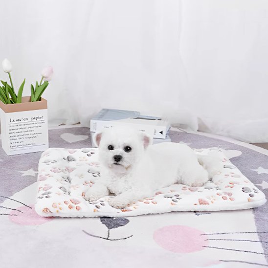 caniche blanc couche sur Tapis pour chien