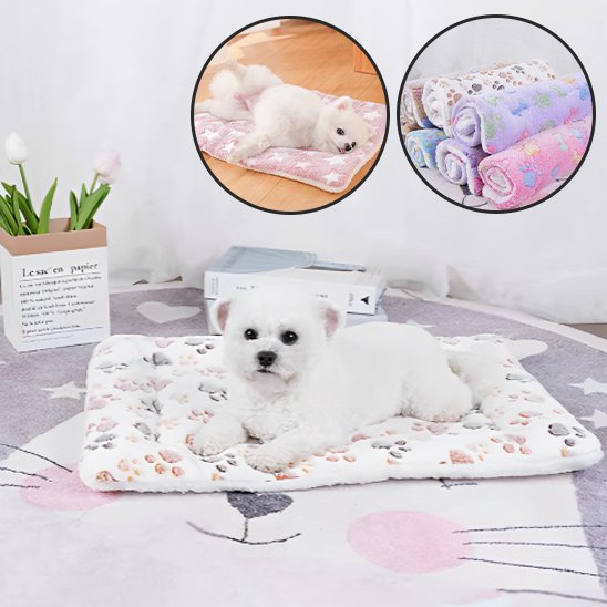 caniche blanc couche sur Tapis pour chien