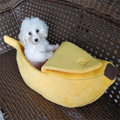 caniche blanc dans Panier chien en forme de banane sur banc de rotin