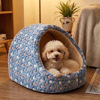 caniche blanc dans Panier pour Chien 