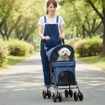 caniche blanc dans Poussette chien bleue avec dame qui le pousse