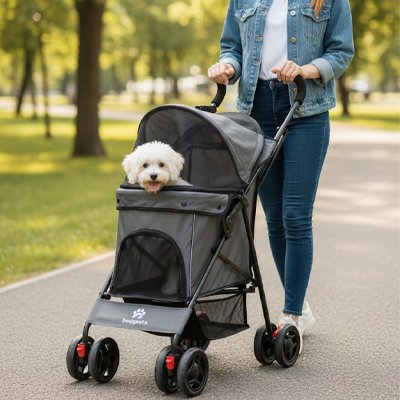 caniche blanc dans Poussette chien grise avec dame qui le pousse
