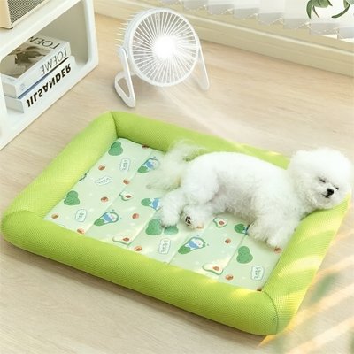 caniche blanc dort sur Tapis pour Chien rafraichissant