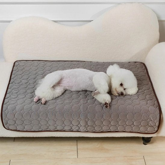 caniche blanc etendu sur Tapis rafraichissant chien cafe pose sur canape blanc