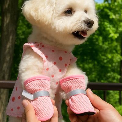 caniche blanc portant Chaussures chien​ rose se tient sur pattes arrières avec dame