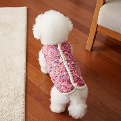 caniche blanc portant Manteau Chien rose est sur plancher de bois de salon