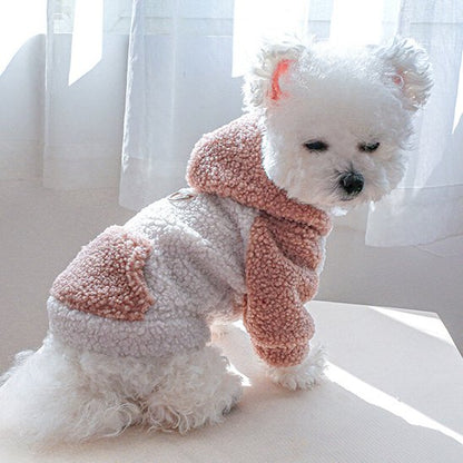 caniche blanc portant Pull chien est assis sur table blanche