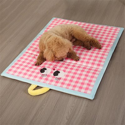 caniche brun couche sur Tapis rafraîchissant Chien sur sol