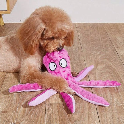 caniche brun joue avec Peluche pour chien rose sur parquet