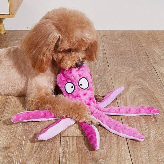 caniche brun joue avec Peluche pour chien rose sur parquet
