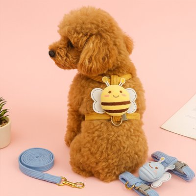 caniche brun portant Harnais pour petit Chien jaune est assis sur sol rose