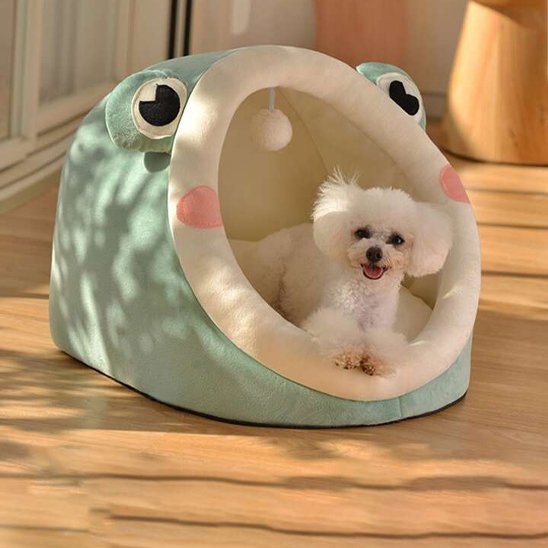 caniche couche dans Lit pour chien