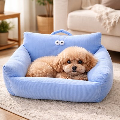 caniche couché sur Canapé Chien bleu
