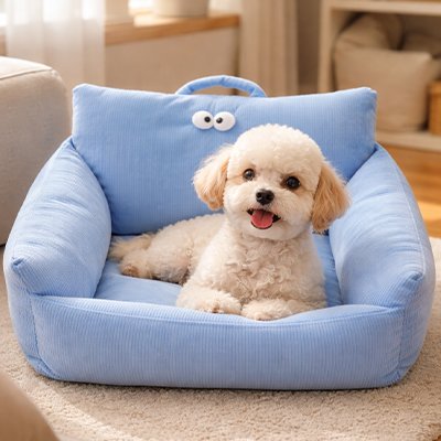 caniche couché sur Canapé Chien 