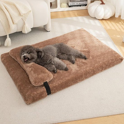 caniche dort sur Lit pour chien beige