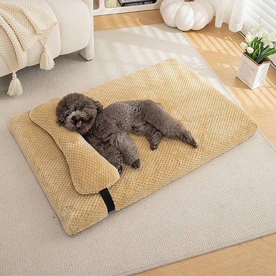 caniche dort sur Lit pour chien