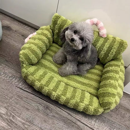 caniche gris assis sur Canapé pour chien vert