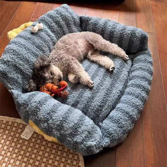 caniche gris dort sur Canapé pour chien bleu