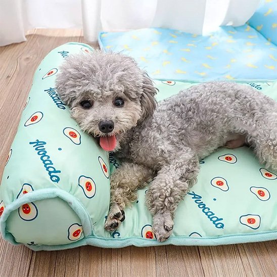 caniche gris est couche sur Tapis rafraichissant chien sur plancher