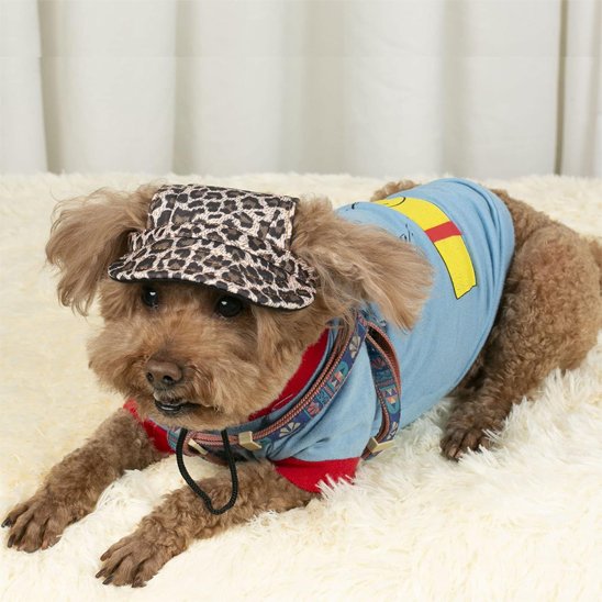caniche porte Casquette pour chien​ floral est couché sur moquette épaisse