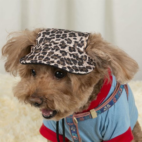 caniche porte Casquette pour chien​ léopard