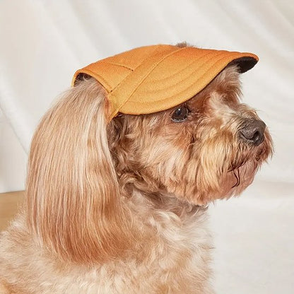 caniche porte Casquette pour chien​ orange assis