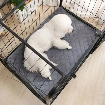 caniche sur Tapis absorbant chien​ dans cage metal