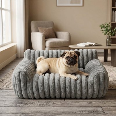carlin couché sur Canapé pour Chien