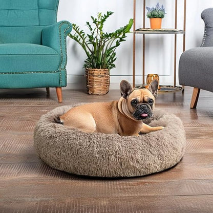 carlin langue sortie est couche dans Panier pour chien café