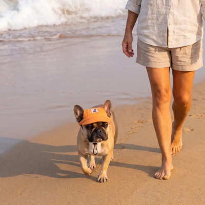 frenchie portant casquette pour chien marche sur plage avec dame en short beige