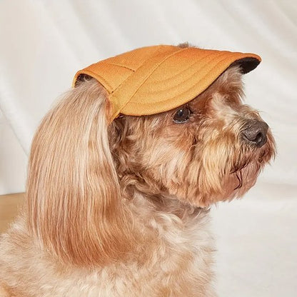 caniche porte Casquette pour chien​ orange assis