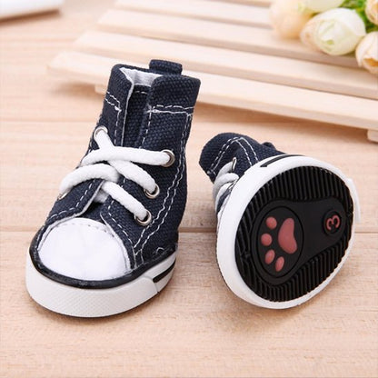 Chaussure Chien sut table de bois