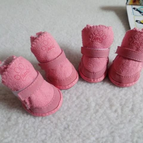 Chaussure pour Chien roses