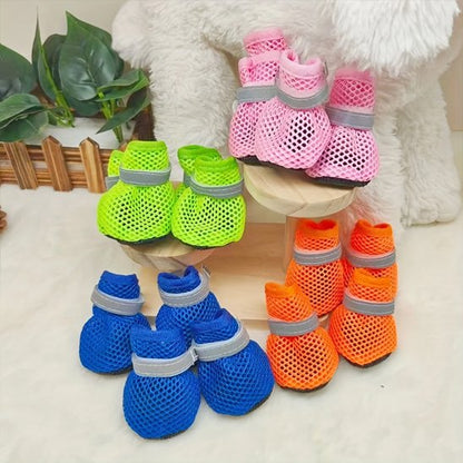 Chaussures chien​ de 4 couleurs sur surface grise
