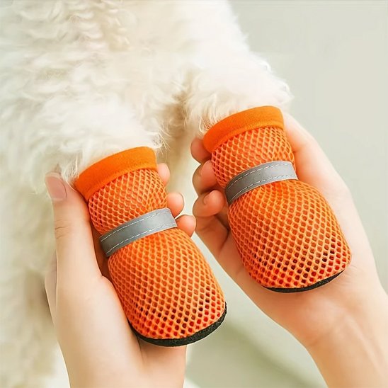 Chaussures chien​ sur pattes avant de chien beige
