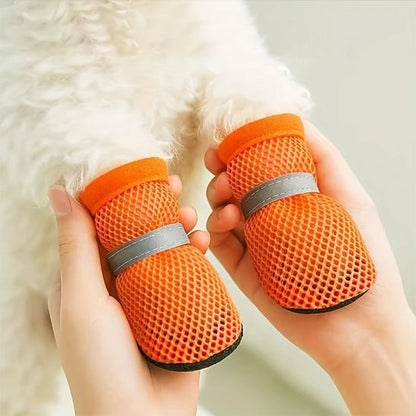 Chaussures chien​ sur pattes avant de chien beige