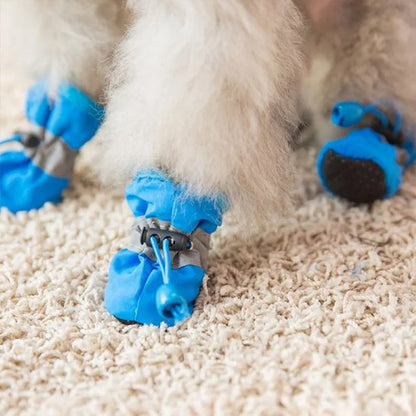 Chaussures chien​ sur pattes de chien blanc