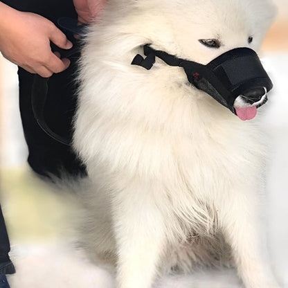 chien blanc avec Muselière avec homme