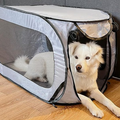 chien blanc dans niche chien grise