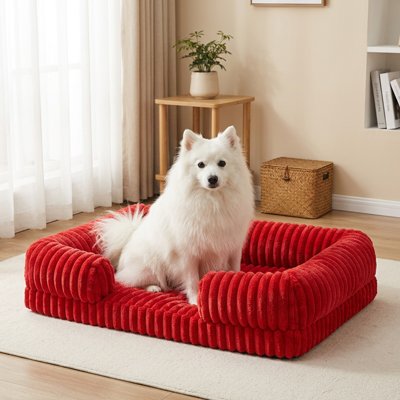 chien blanc dans Panier orthopédique Chien