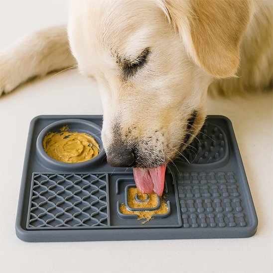 chien blanc et blond mange auTapis de lechage chien au sol